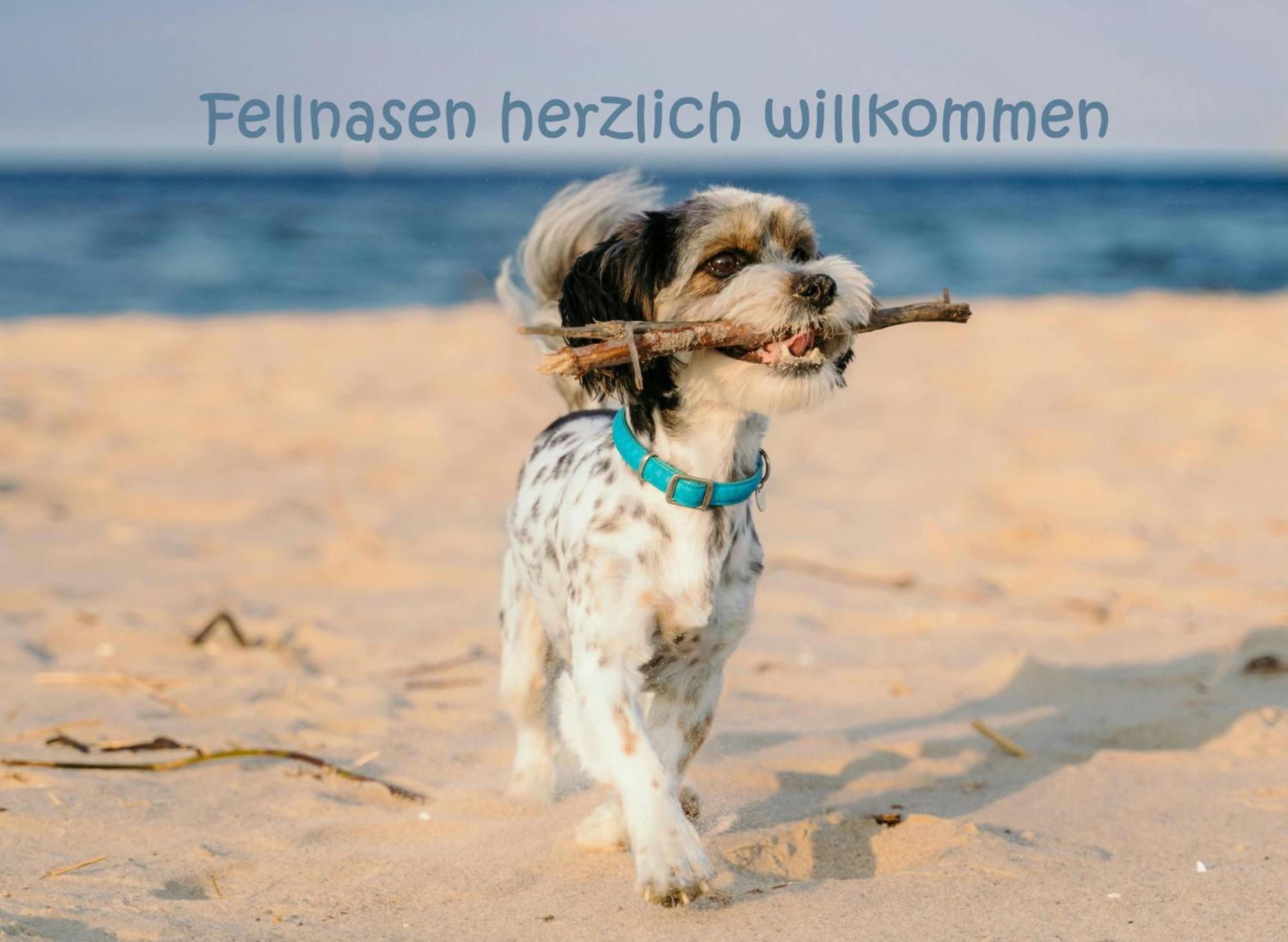 Apartment Hafensuite Ipura Vida! - Fuer Leben-geniesser Kappeln